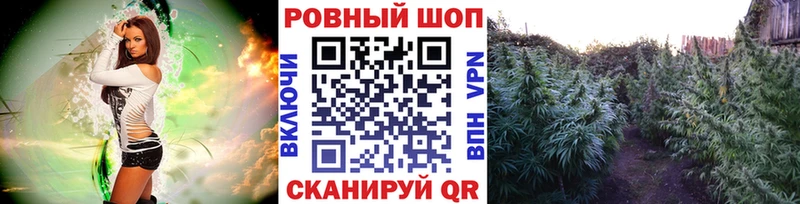 Меф Микунь