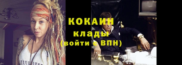 бошки Пересвет